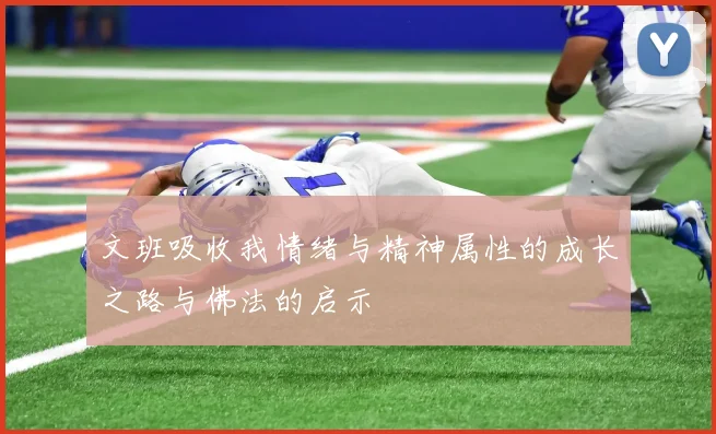 文班吸收我情绪与精神属性的成长之路与佛法的启示